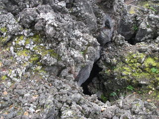 otta Pisciteddu-03-03-2013 12-03-25